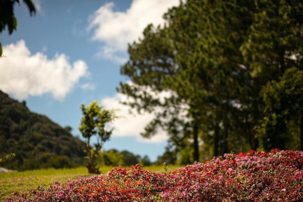 Sam Tuyen Lam Resort ダラット エクステリア 写真