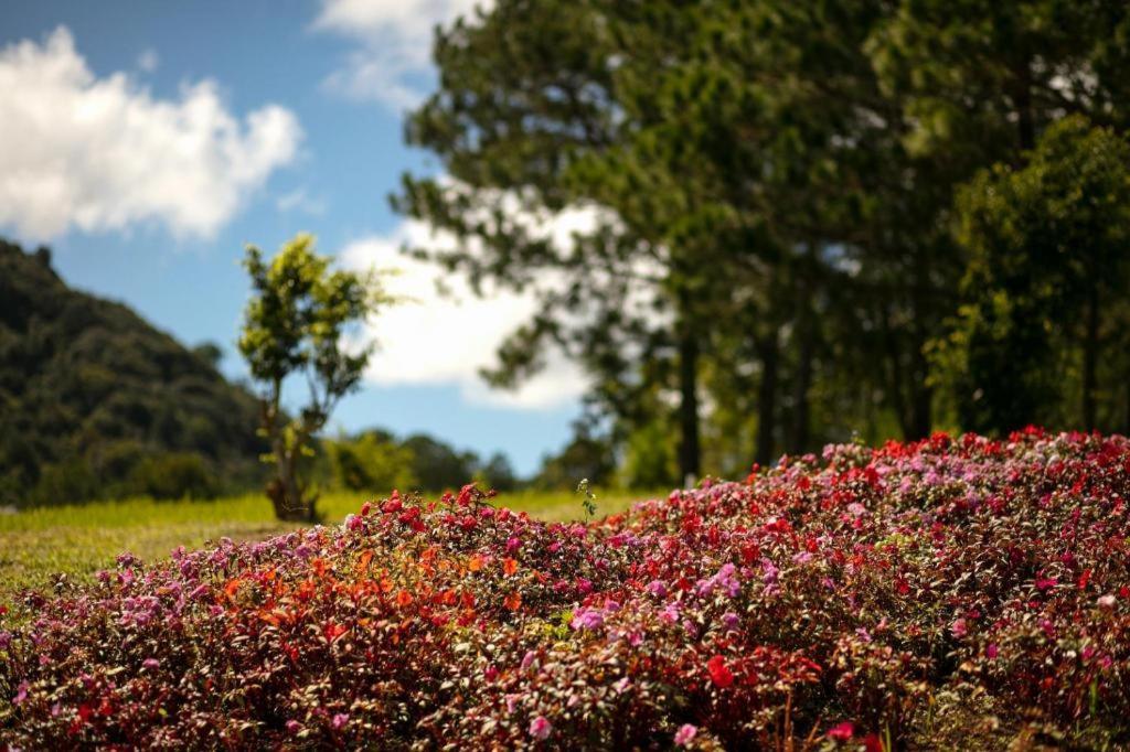 Sam Tuyen Lam Resort ダラット エクステリア 写真